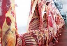 Garantizan abastecimiento de carne y prevén que bajará el precio por sobreoferta