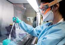 Confirman 3 nuevos casos de coronavirus en Argentina y ya son 34 los infectados
