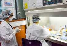 Coronavirus en Argentina: hay nuevos casos y ya son 56 los infectados