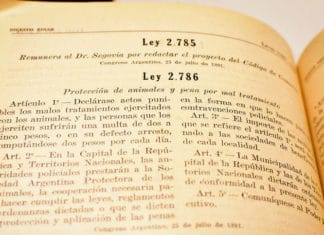 Historia: la ley de Sarmiento que protege a los animales