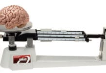 Escribo para quienes tienen un poco más que 2 gramos de cerebro