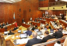 Diputados: recorte del 30% en sueldos y labor parlamentaria previa a la sesión