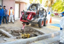 Capital comenzó con un programa integral de reforestación