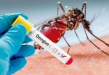 Los números del dengue en San Juan