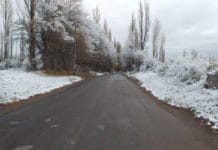 Cayeron las primeras nevadas en San Juan, Mendoza y Córdoba