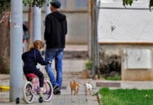 San Juan: podrían habilitar paseos de niños acompañados por adultos