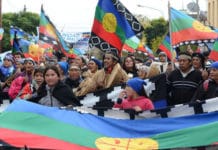 Río Negro: el Estado y el pueblo Mapuche dialogarán por los territorios