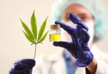 CanMe se convierte en la primera empresa argentina con certificación orgánica para cannabis medicinal