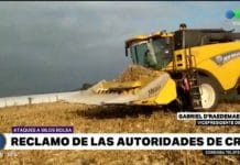 El Gobierno se despegó de los ataques a las silobolsas y cruzó al campo