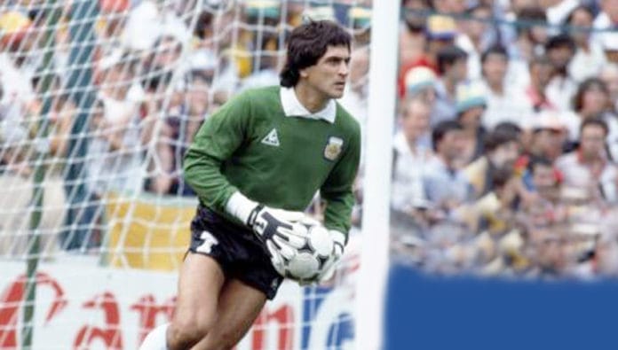 Pato-Fillol-01