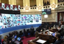 El Senado aprobó la Ley de Alquileres y el proyecto de Sociedades simplificadas