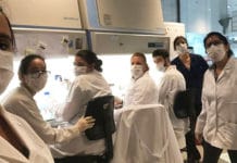 Avanza la primera vacuna argentina contra el coronavirus