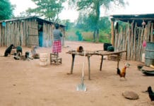 Salta: reprimen a comunidad Wichi para sacarlos de sus tierras ancestrales