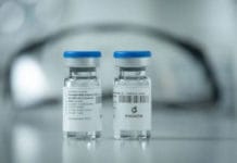 Coronavirus: Anmat aprobó ensayos clínicos con suero de caballos