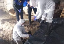 Calingasta: encontraron huesos humanos en Pachaco