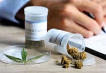 El Gobierno oficializó el proyecto de investigación sobre cultivo de cannabis para usos médicos