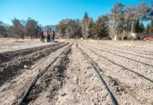 San Juan: el Centro Nazario Benavídez tiene la plantación más grande de Mi Huerta