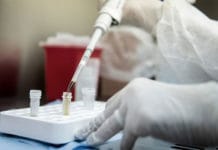 Argentina fue elegida para probar una vacuna contra el coronavirus
