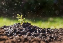 7 de julio: Día Mundial de la Conservación del Suelo
