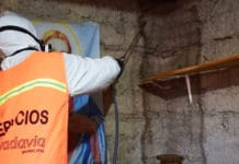 Rivadavia: realizaron trabajos de fumigación en asentamientos Pellegrini y La Paz