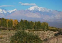 San Juan: reabre el Parque Nacional El Leoncito