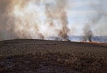 Bomberos combaten distintos focos de incendio en Córdoba