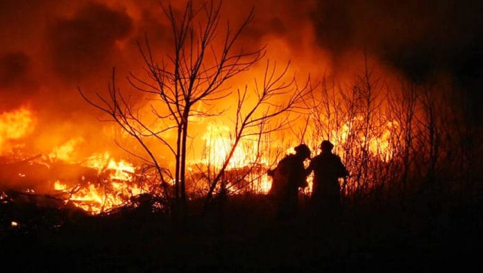 Cordoba-incendios-2020-01