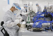 Las provincias que más restricciones para circular aplicaron son las que más empleos perdieron