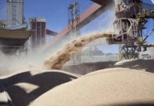 Las exportaciones de la agroindustria crecieron 7% en el primer bimestre