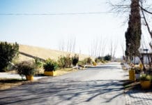 Así funcionará el Cementerio de Santa Lucía durante el Día de la Madre