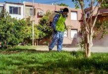 Rivadavia: realizan trabajos de control de plagas y vectores