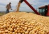 Pese a la cosecha récord, la liquidación de dólares del campo cayó 11% en el primer cuatrimestre