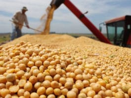 Fuerte crecimiento de la actividad agropecuaria en mayo