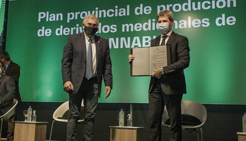 cannabis-medicinal-san-juan