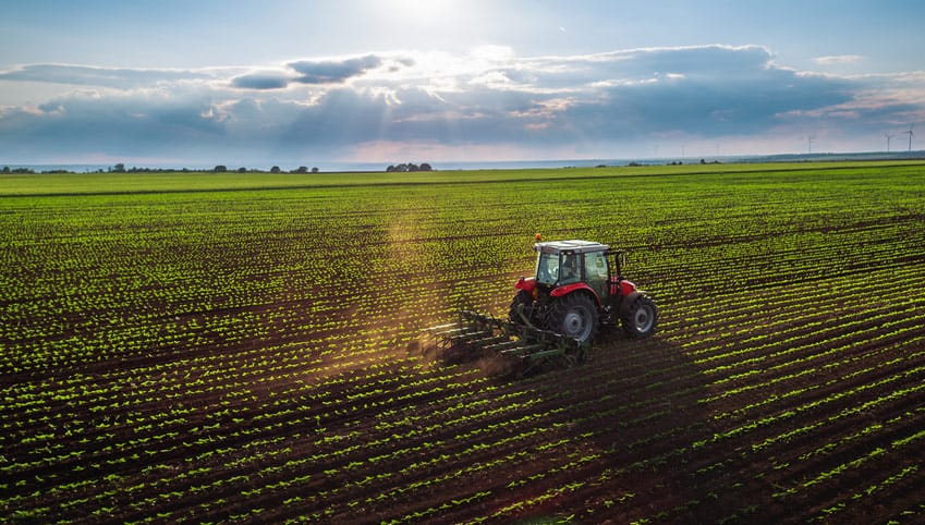Biodiesel-aumento-campo