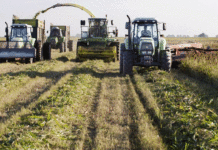ARCA modificó los trámites del sistema informativo para productores del agro