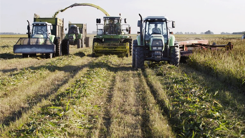 campo-biodiesel