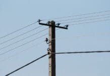 Empresas agroindustriales electrointensivas podrán pagar la energía en cuotas