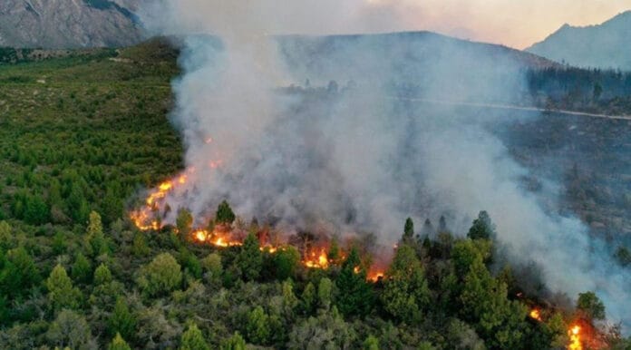 Incendio-en-El-Bolson