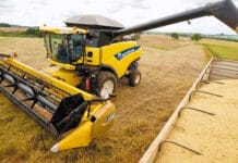 La exportación del agro fue de U$S4.102 millones en julio y marcó un récord desde 2002