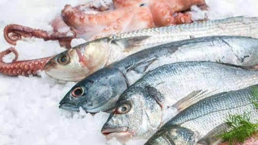 Pescado