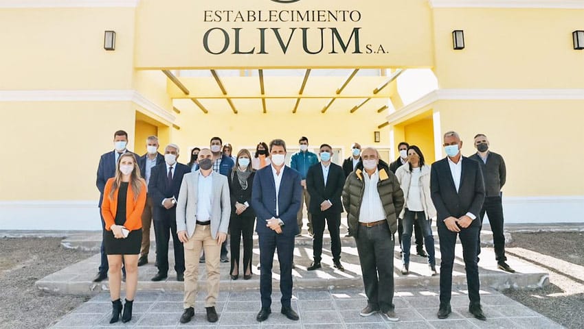 Uñac-y-Guzmán-Olivum-SA