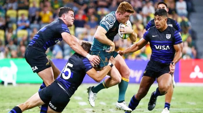 Los-Pumas