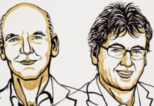 El Nobel de Química fue para dos científicos que desarrollaron una herramienta que crea moléculas