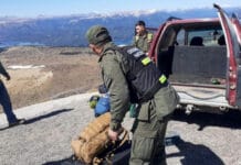 Detuvieron a mapuches chilenos que ingresaron ilegalmente al país con municiones