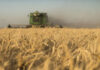 Gobierno nacional oficializó el esquema de reducción gradual de las retenciones para el agro