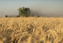El campo alertó por una posible suba de retenciones