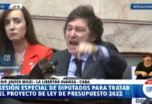 Presupuesto 2022: el lapidario discurso de Javier Milei para rechazarlo
