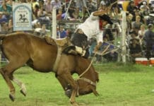 Rawson: suspendieron la Fiesta de la Destreza Criolla y el Folklore