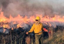 Incendios en Corrientes: las pérdidas económicas llegaron a $70.000.000